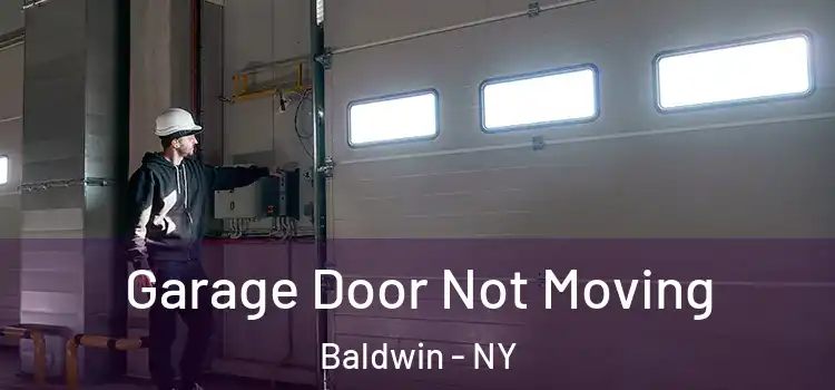  Garage Door Not Moving Baldwin - NY